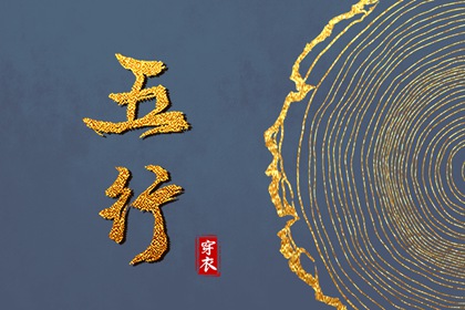 结果保存与分享